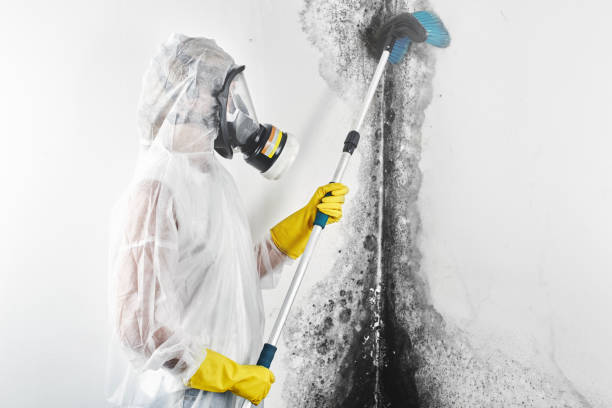 Best HVAC Mold Inspection and Cleaning  in Richton, MS