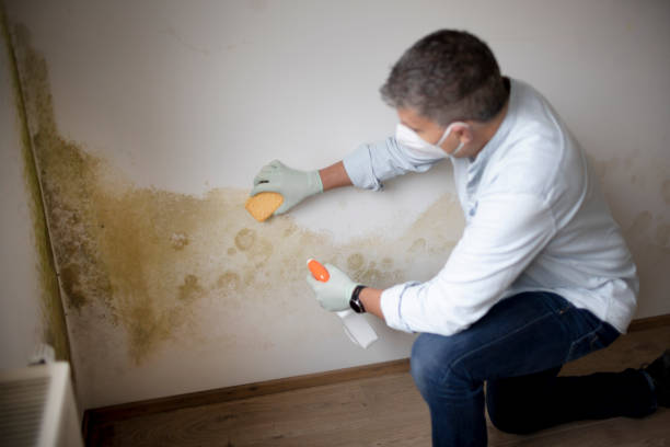 Best Biohazard Mold Removal  in Richton, MS