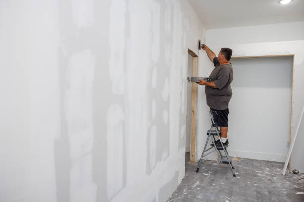  Richton, MS Mold Removal Pros