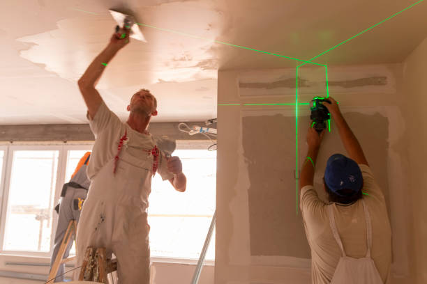 Best Water Damage & Mold Remediation  in Richton, MS