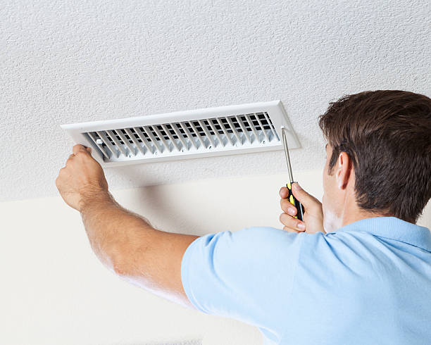 Best Mold-Related Health Consultation  in Richton, MS