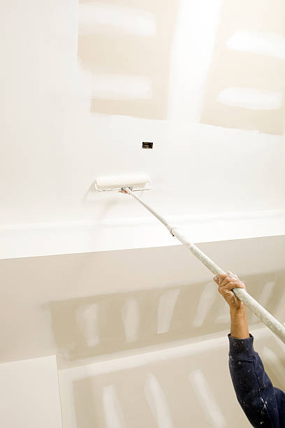 Best Mold Damage Restoration  in Richton, MS