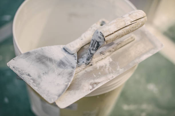 Best Environmental Consulting for Mold Prevention  in Richton, MS