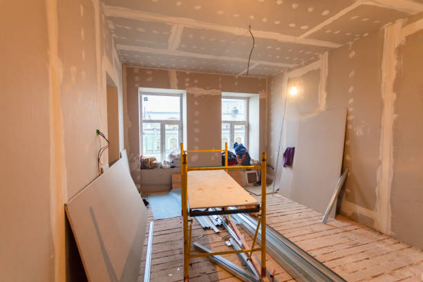Environmental Consulting for Mold Prevention in Richton, MS
