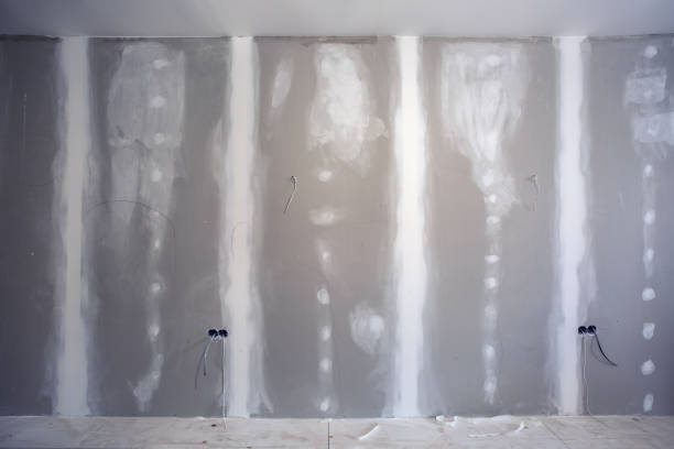 Best Post-Construction Mold Inspection  in Richton, MS